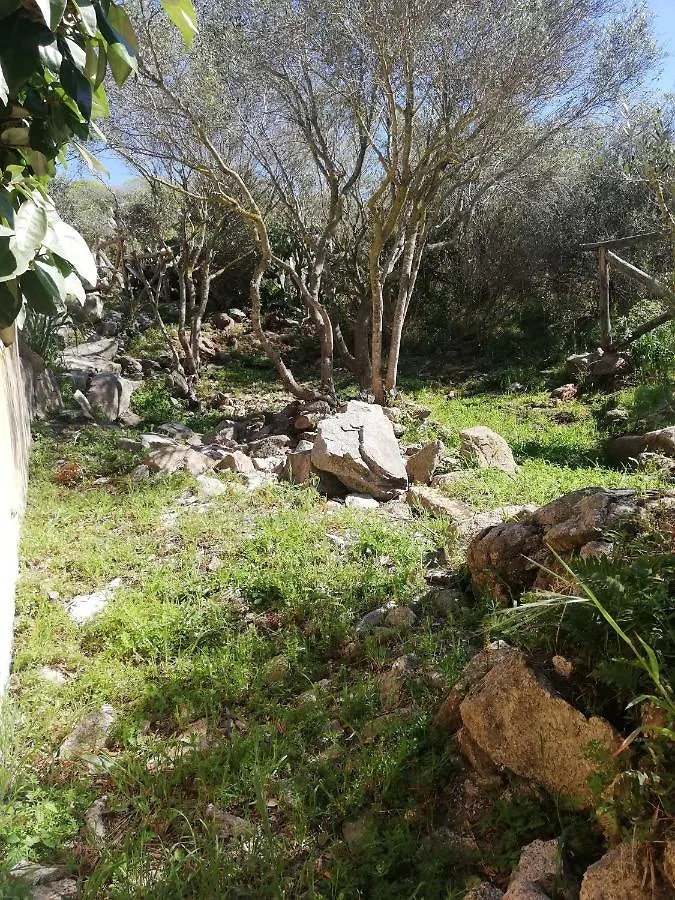 Oasiglò Apartamento La Maddalena  0*, La Maddalena (Sassari)